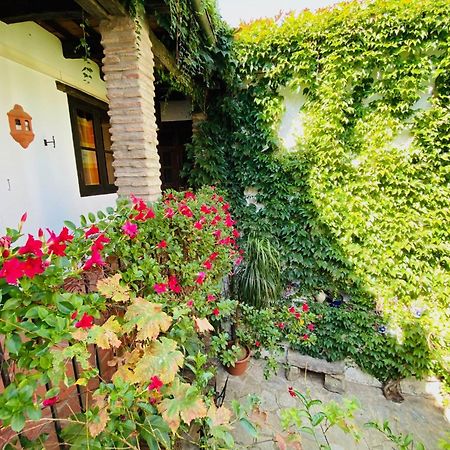 Posada La Casa Grande Химена-де-ла-Фронтера Экстерьер фото